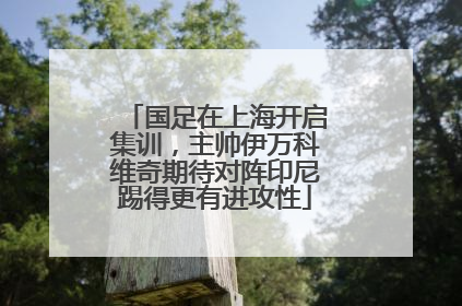 国足在上海开启集训，主帅伊万科维奇期待对阵印尼踢得更有进攻性