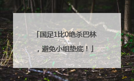 国足1比0绝杀巴林，避免小组垫底！