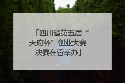 四川省第五届“天府杯”创业大赛决赛在蓉举办