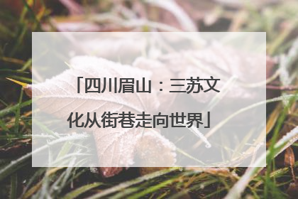 四川眉山：三苏文化从街巷走向世界