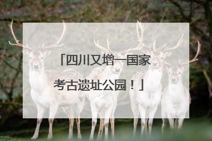 四川又增一国家考古遗址公园！