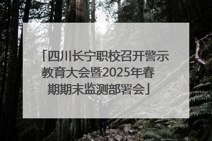 四川长宁职校召开警示教育大会暨2025年春期期末监测部署会