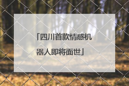 四川首款情感机器人即将面世