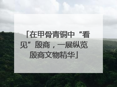 在甲骨青铜中“看见”殷商，一展纵览殷商文物精华