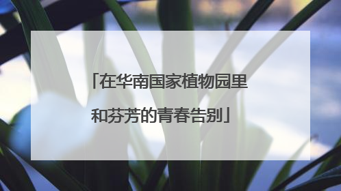 在华南国家植物园里和芬芳的青春告别