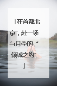 在首都北京，赴一场与月季的“倾城之约”