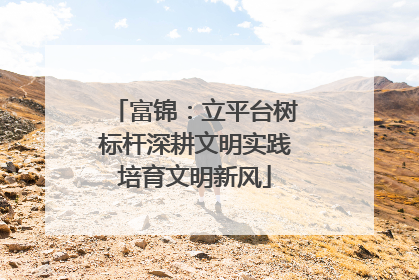 富锦：立平台树标杆深耕文明实践培育文明新风