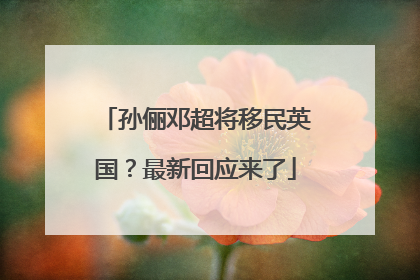 孙俪邓超将移民英国？最新回应来了