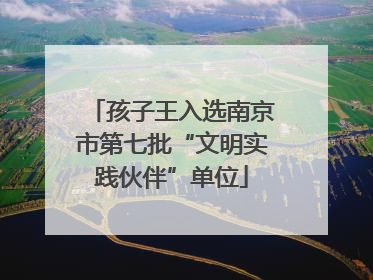 孩子王入选南京市第七批“文明实践伙伴”单位