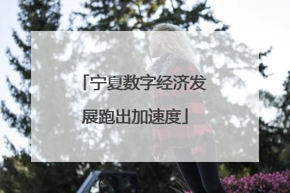 宁夏数字经济发展跑出加速度