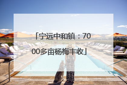 宁远中和镇：7000多亩杨梅丰收