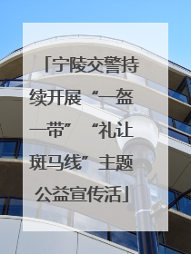 宁陵交警持续开展“一盔一带”“礼让斑马线”主题公益宣传活