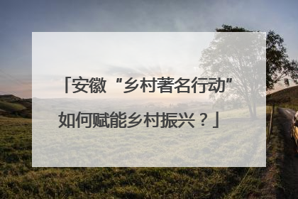 安徽“乡村著名行动”如何赋能乡村振兴？