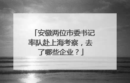 安徽两位市委书记率队赴上海考察，去了哪些企业？