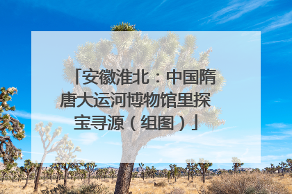 安徽淮北：中国隋唐大运河博物馆里探宝寻源（组图）