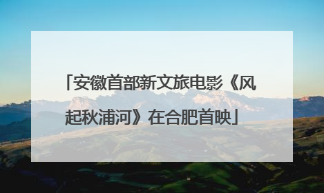 安徽首部新文旅电影《风起秋浦河》在合肥首映