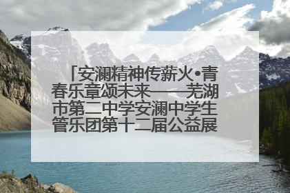 安澜精神传薪火•青春乐章颂未来——芜湖市第二中学安澜中学生管乐团第十二届公益展演圆满举行