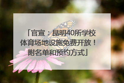 官宣：昆明40所学校体育场地设施免费开放！附名单和预约方式