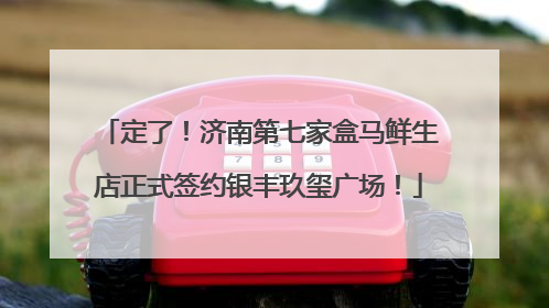定了！济南第七家盒马鲜生店正式签约银丰玖玺广场！