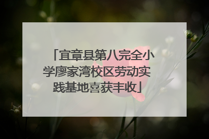 宜章县第八完全小学廖家湾校区劳动实践基地喜获丰收