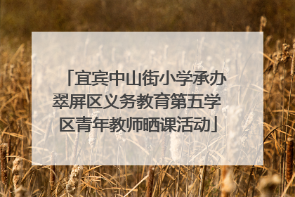 宜宾中山街小学承办翠屏区义务教育第五学区青年教师晒课活动