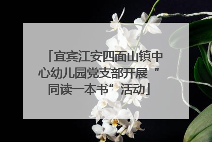 宜宾江安四面山镇中心幼儿园党支部开展“同读一本书”活动