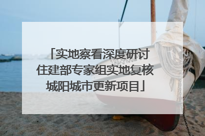 实地察看深度研讨 住建部专家组实地复核城阳城市更新项目