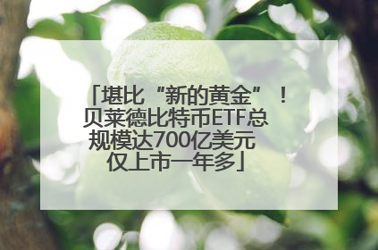 堪比“新的黄金”！贝莱德比特币ETF总规模达700亿美元 仅上市一年多