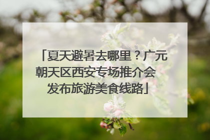 夏天避暑去哪里？广元朝天区西安专场推介会 发布旅游美食线路