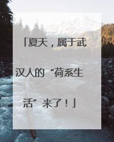 夏天，属于武汉人的“荷系生活”来了！