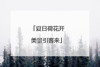 夏日荷花开 美景引客来