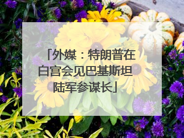 外媒：特朗普在白宫会见巴基斯坦陆军参谋长