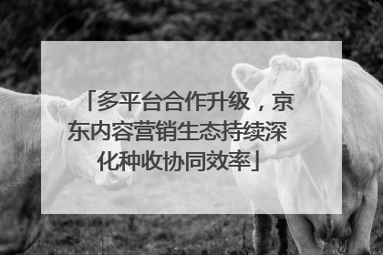 多平台合作升级，京东内容营销生态持续深化种收协同效率
