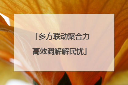 多方联动聚合力 高效调解解民忧
