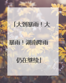 大到暴雨！大暴雨！湖南降雨仍在继续