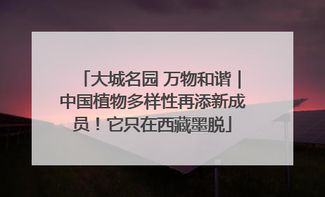 大城名园 万物和谐｜中国植物多样性再添新成员！它只在西藏墨脱