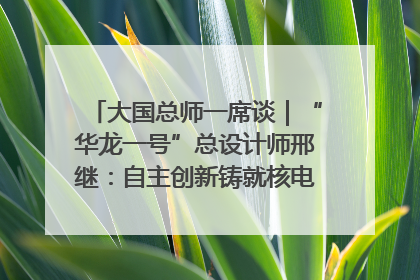 大国总师一席谈｜“华龙一号”总设计师邢继：自主创新铸就核电“国家名片”