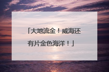 大地流金！威海还有片金色海洋！
