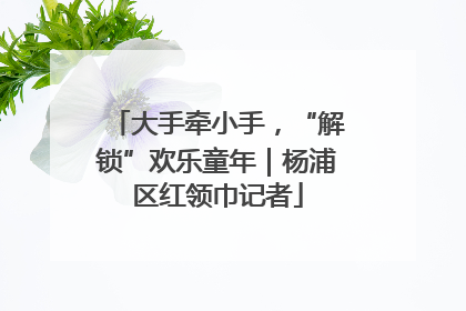 大手牵小手，“解锁”欢乐童年｜杨浦区红领巾记者