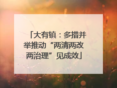 大有镇：多措并举推动“两清两改两治理”见成效