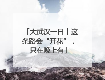 大武汉一日丨这条路会“开花”，只在晚上有