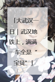 大武汉一日｜武汉地铁上，满满一车全是“宝贝”