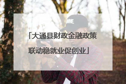 大通县财政金融政策联动稳就业促创业