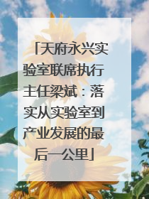 天府永兴实验室联席执行主任梁斌：落实从实验室到产业发展的最后一公里