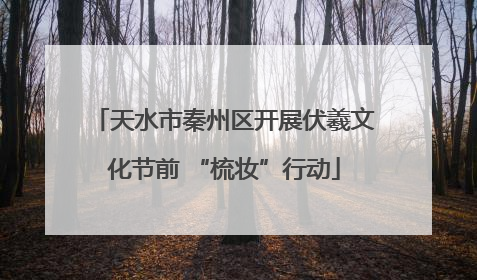 天水市秦州区开展伏羲文化节前 “梳妆”行动