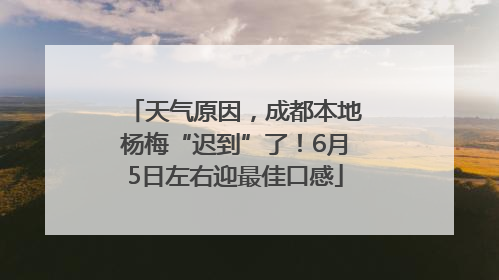 天气原因，成都本地杨梅“迟到”了！6月5日左右迎最佳口感