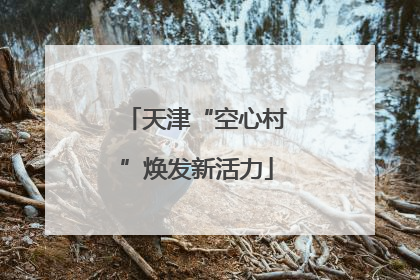 天津“空心村”焕发新活力