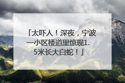 太吓人！深夜，宁波一小区楼道里惊现1.5米长大白蛇！