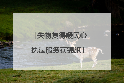 失物复得暖民心 执法服务获锦旗