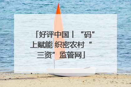 好评中国丨“码”上赋能 织密农村“三资”监管网